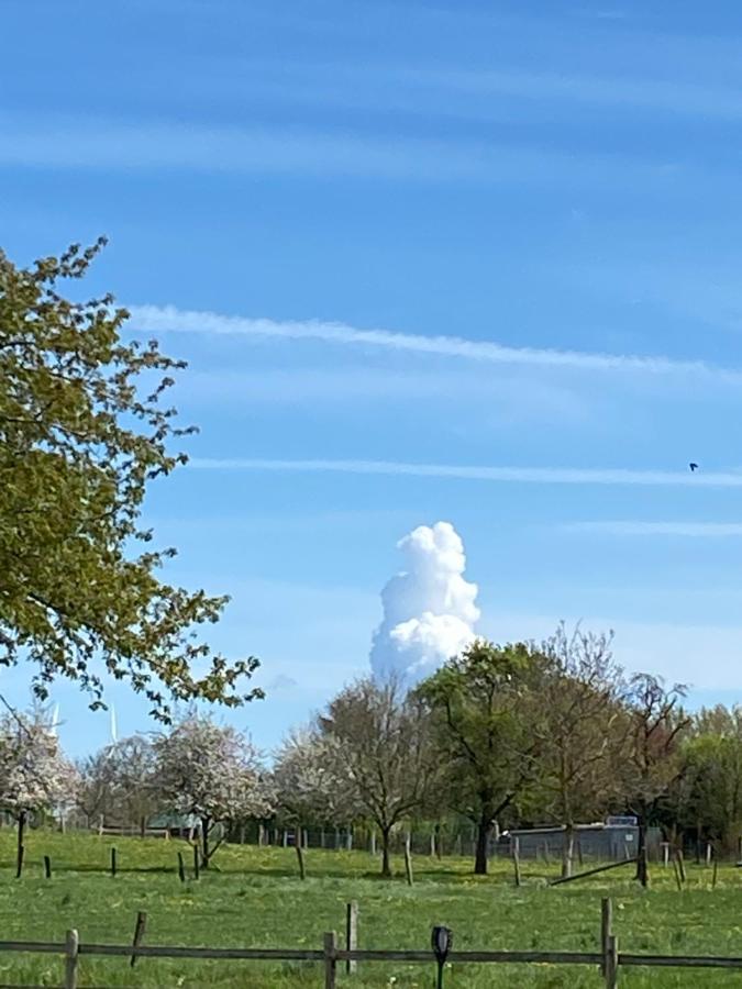 Ferienwohnungen Bueffel Heimbach Exterior foto