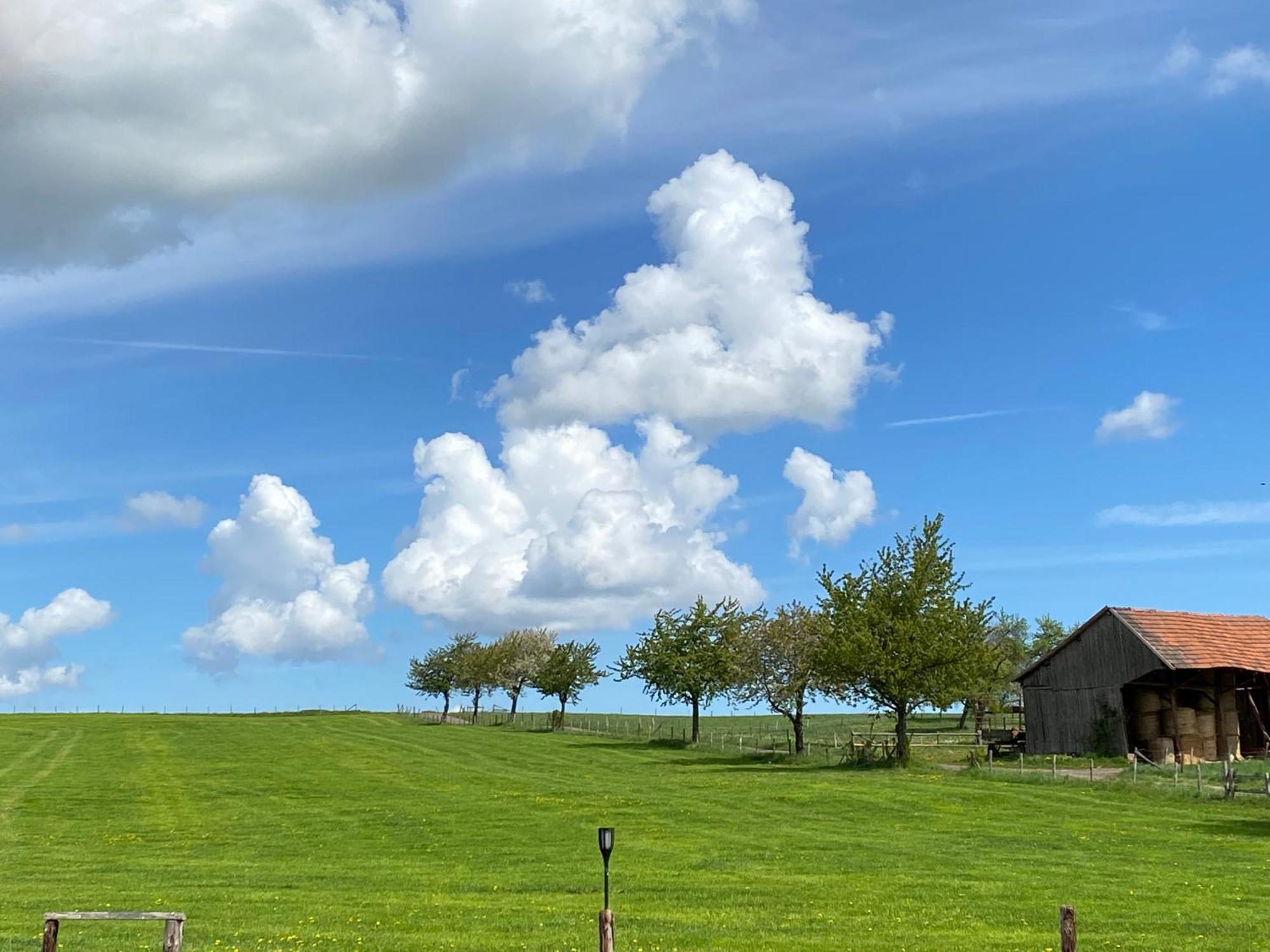 Ferienwohnungen Bueffel Heimbach Exterior foto